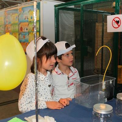 Bambini che osservano gli esperimenti