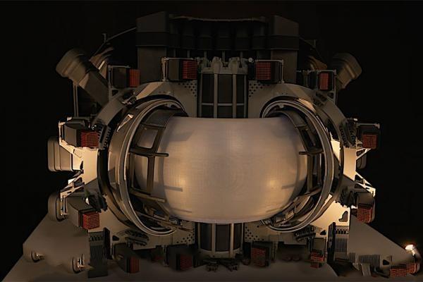 IL DTT - Divertor Tokamak Test. Modello dell'impianto sperimentale, scala 1:13